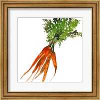 Framed 'Carrot' border=