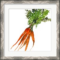 Framed 'Carrot' border=