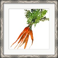 Framed 'Carrot' border=