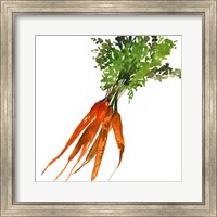 Framed 'Carrot' border=