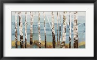 Framed Birch Reflection