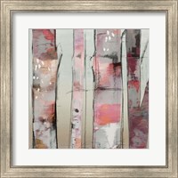 Framed 'Sunset Birch II' border=