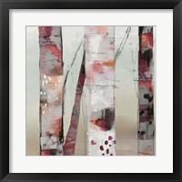 Framed 'Sunset Birch III' border=