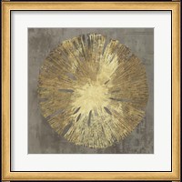 Framed Sand Dollar IA