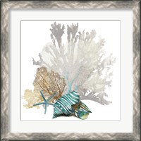 Framed 'Coral' border=