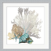 Framed 'Coral' border=