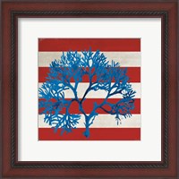 Framed 'Marine Coral I' border=