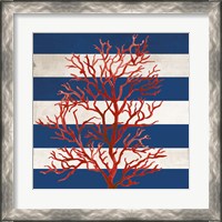 Framed 'Red Coral II' border=