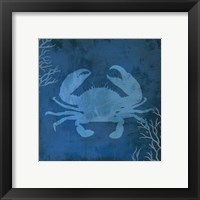 Framed 'Navy Sea Crab' border=