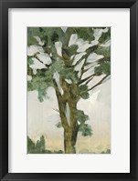 Green Tree Line I Framed Print