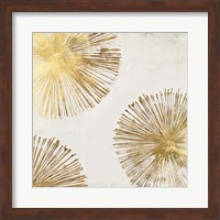 Framed Gold Star II