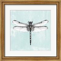 Framed 'Dragonfly I' border=