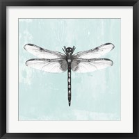 Framed 'Dragonfly I' border=