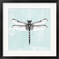 Dragonfly I Framed Print