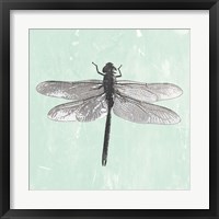 Framed 'Dragonfly II' border=