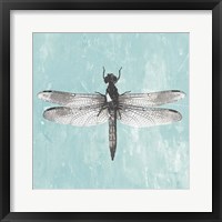 Dragonfly III Framed Print