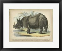 Framed Rhino