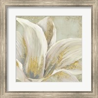 Framed 'Fresh Bloom I' border=