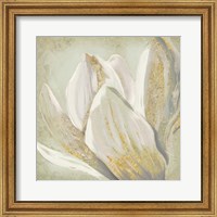 Framed 'Fresh Bloom II' border=