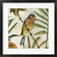 Framed Jungle Bird II