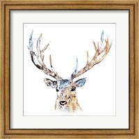 Framed 'Watercolour Reindeer' border=