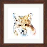 Framed Watercolour Fox