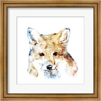 Framed 'Watercolour Fox' border=