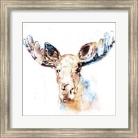 Framed 'Watercolour Moose' border=