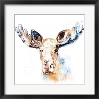 Framed 'Watercolour Moose' border=