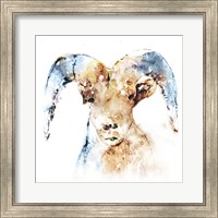 Framed 'Watercolour Ram' border=