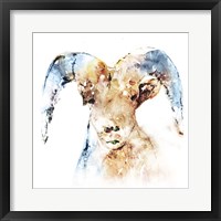 Framed Watercolour Ram