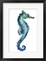 Sea Horse Framed Print