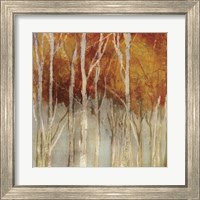 Framed 'Belgium Forest I' border=