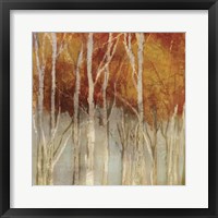 Belgium Forest I Framed Print