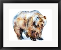 Framed Bear Blue