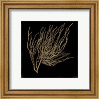 Framed 'Gold Coral I' border=