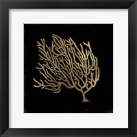 Framed 'Gold Coral II' border=