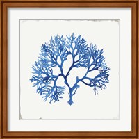 Framed 'Blue and Green Coral V' border=