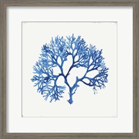 Framed Blue and Green Coral V