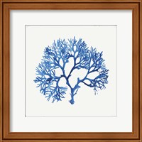 Framed 'Blue and Green Coral V' border=