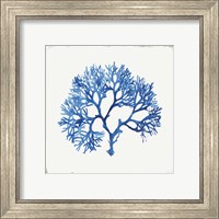 Framed 'Blue and Green Coral V' border=