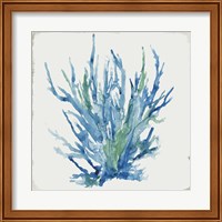 Framed 'Blue and Green Coral II' border=