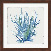 Framed 'Blue and Green Coral II' border=