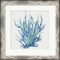 Framed 'Blue and Green Coral II' border=