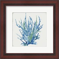 Framed 'Blue and Green Coral II' border=