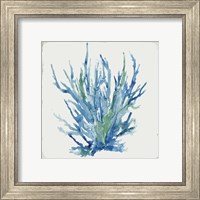 Framed 'Blue and Green Coral II' border=