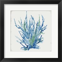 Framed 'Blue and Green Coral II' border=