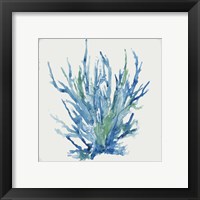 Framed 'Blue and Green Coral II' border=