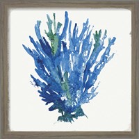 Framed 'Blue and Green Coral III' border=