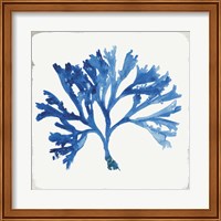 Framed 'Blue and Green Coral IV' border=